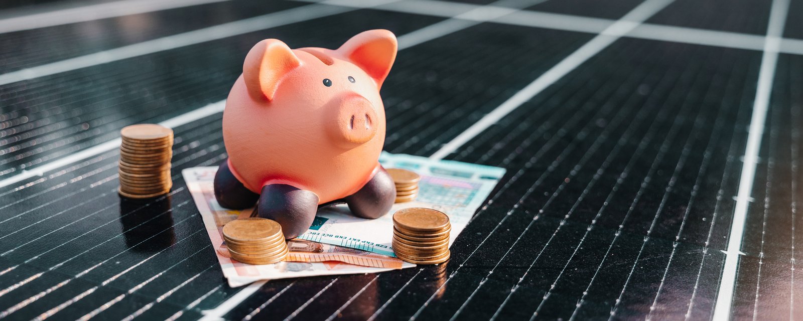 rentabilité des panneaux photovoltaïques