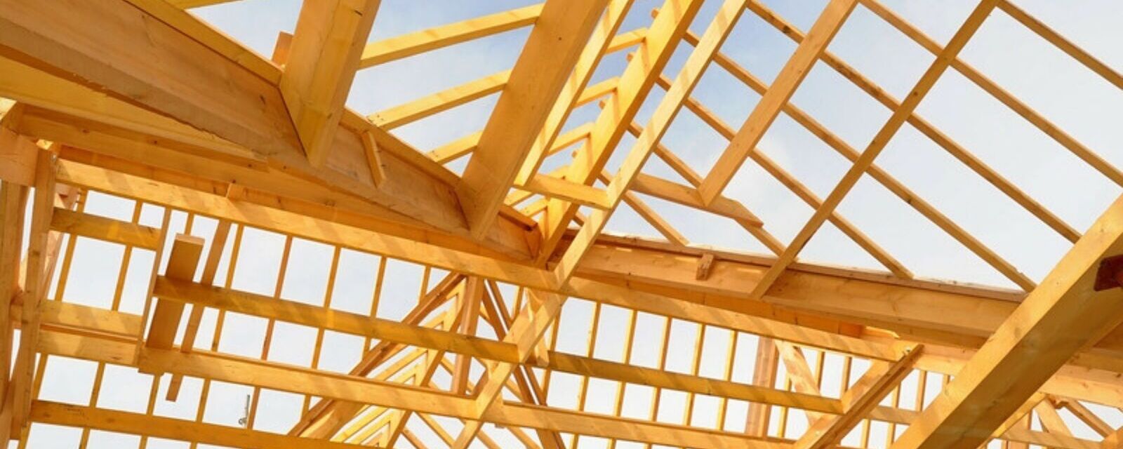 charpente en bois