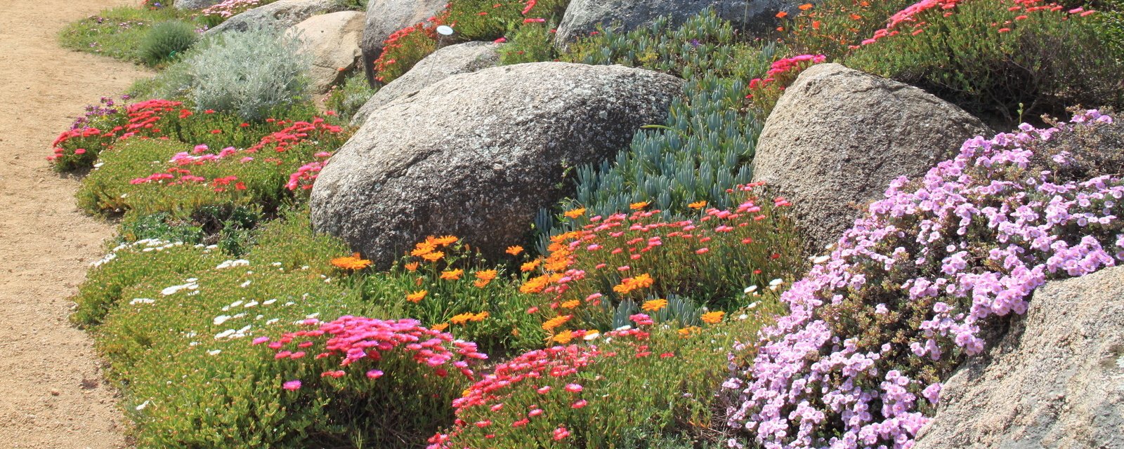 jardin à faible entretien