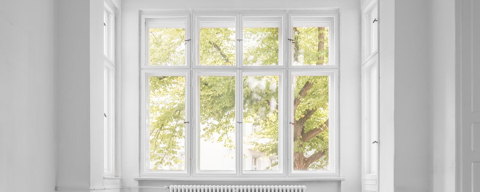 fenêtre pariétodynamique