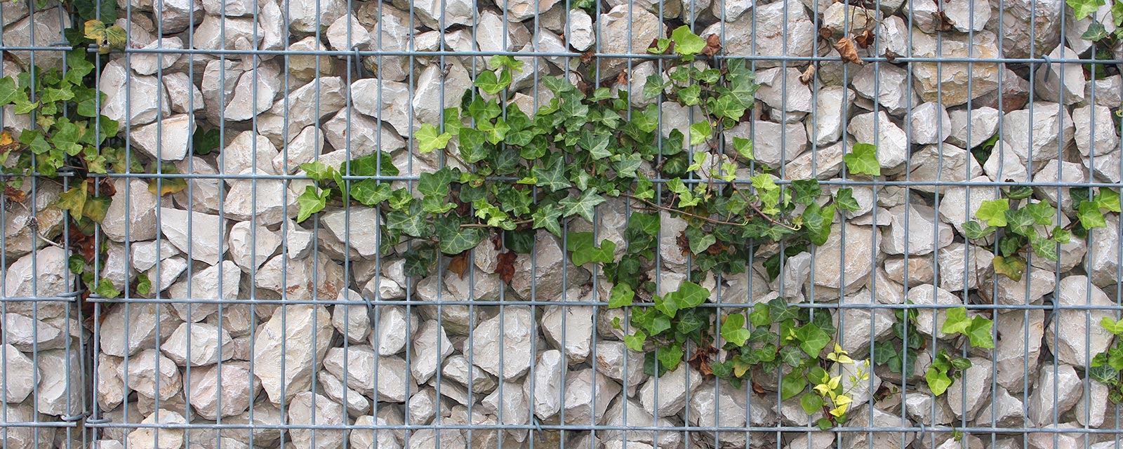 mur en gabion