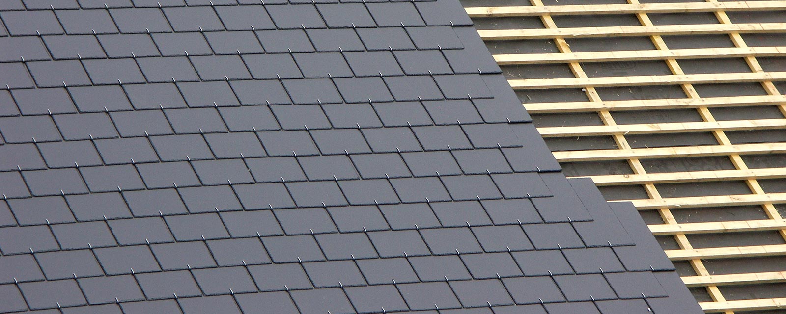 tout savoir sur le sarking