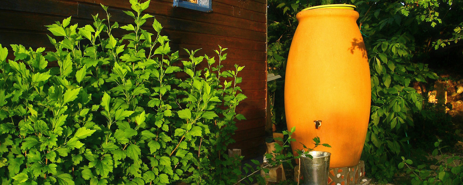 récupérer l'eau de pluie : un plus