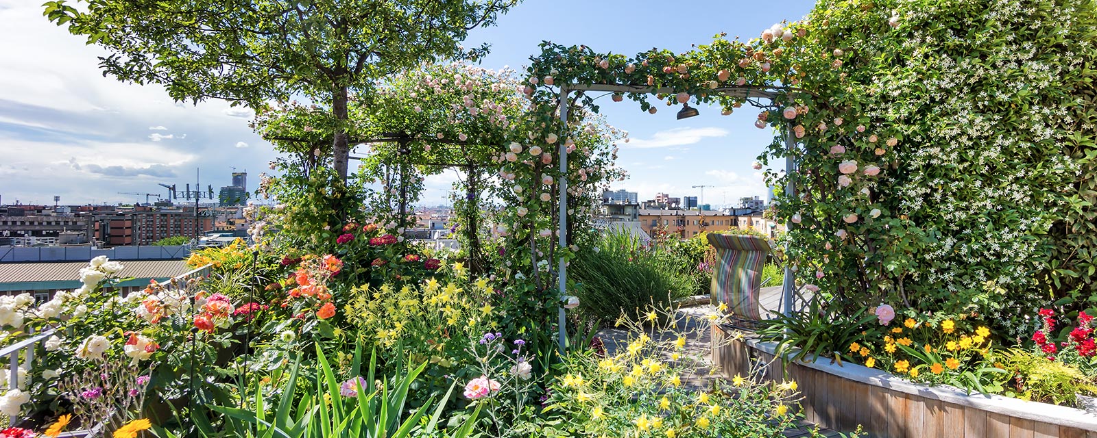 toiture végétalisée