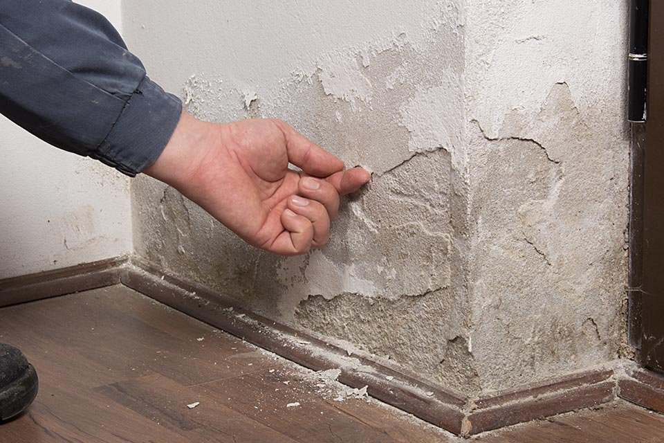 lutter contre l'humidité dans les murs