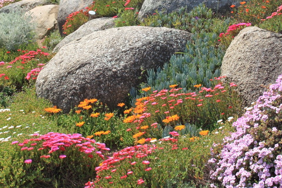 jardin à faible entretien