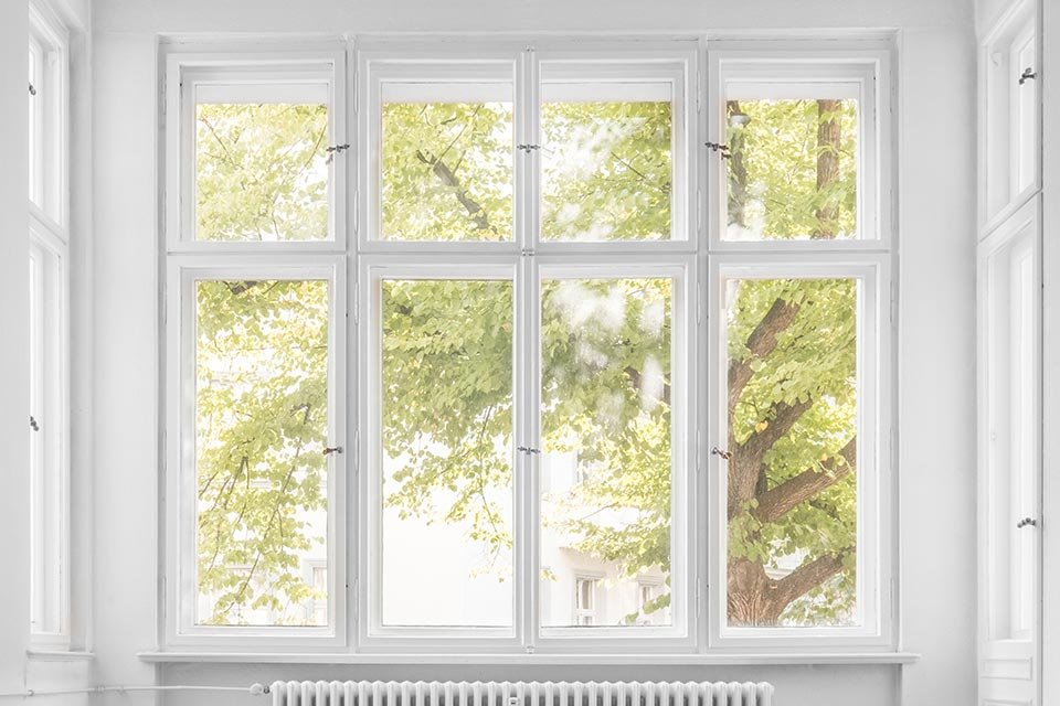 fenêtre pariétodynamique