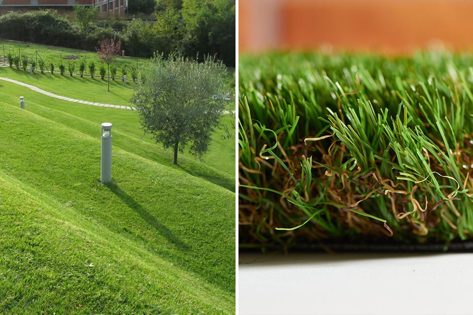 gazon pré-ensemencé Green Avenue