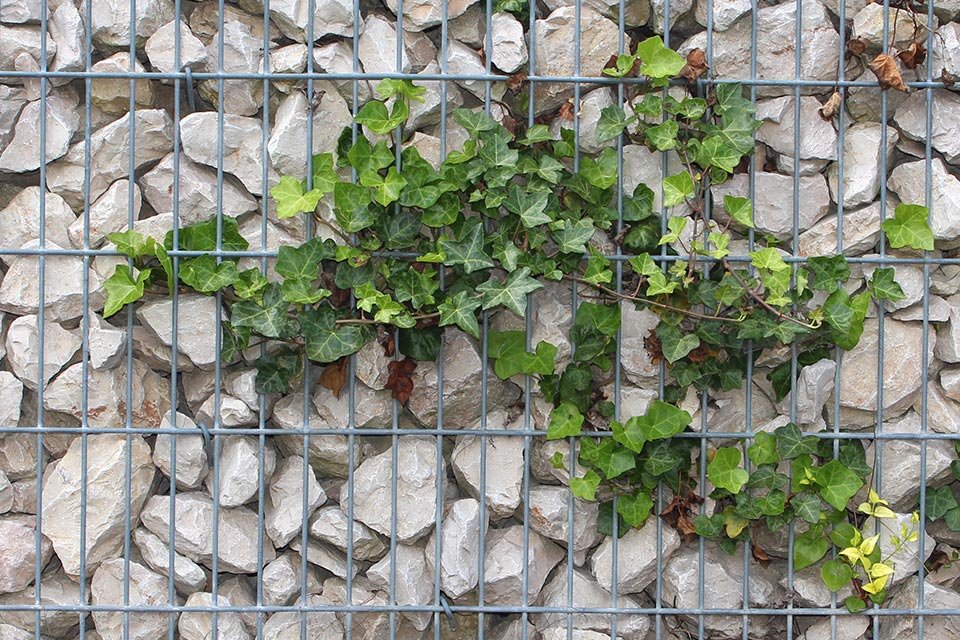 mur en gabion