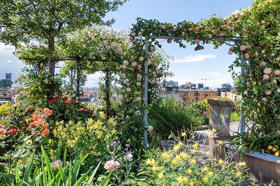 toiture végétalisée