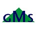 Gms (Gaz Maintenance Service)